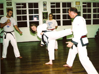 c1l1206.jpg